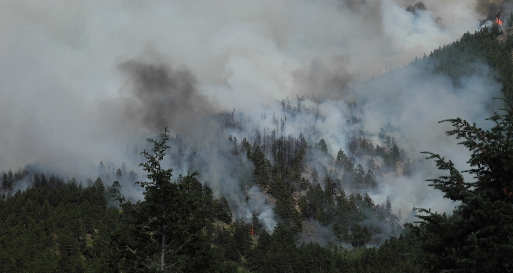 Flagstaff Fire, June 26th, 2012